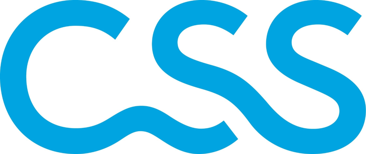 css-logo.png