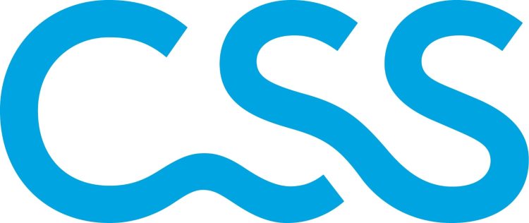 css-logo.png